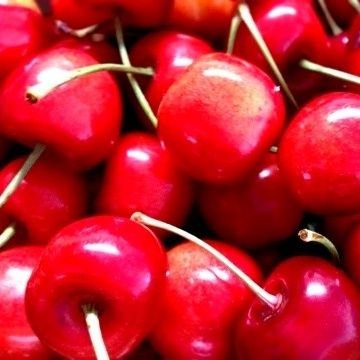 Lm C Maya タピmtのんだり ニューmvみながらワチャるだけの回 やたら高画質 本日23 59まで T Co Ysffsrefw3 T Co 5aqqu0rlo2 Twitter Lm C Maya タピmtのんだり ニューmvみながらワチャるだけの回 やたら高画質 本日23 59まで T Co Ysffsrefw3 T Co 5aqqu0rlo2 Twitter