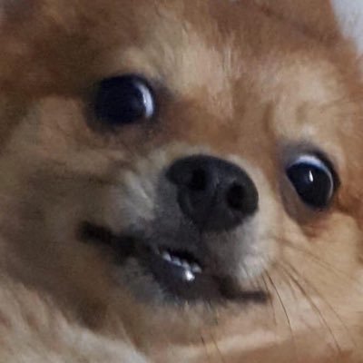 jadyylol's profile picture. is it a bird? is it a plane? its someone minding my business.