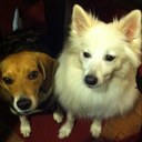 Nerissa Perez - @NerissaPerez - Twitter