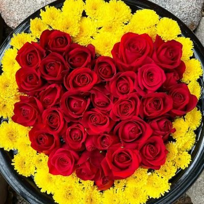 sachimiichan151's profile picture. 自分の好きな物、好きな事などをつぶやいて行きます🐈🐾