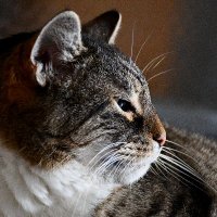 Alexander Kutschera (@alexkutschera01) 's Twitter Profile