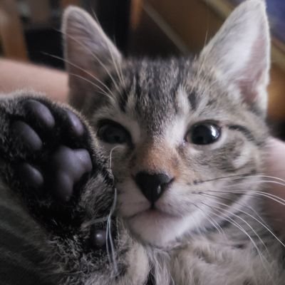 ljk274's profile picture. 