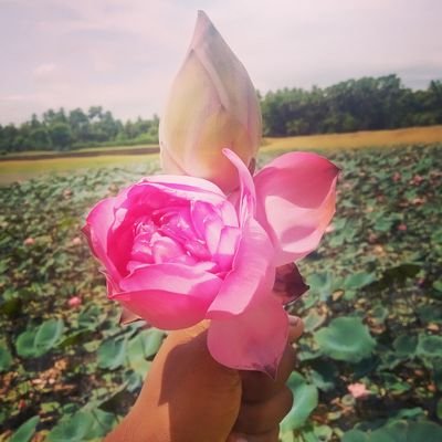 Pirashanth05's profile picture. Stay Simple.