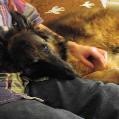 rsa4046's profile picture. Here to see what people think. Geochemist. Lover of family and dogs, but no one listens to me. Social progressive, ex-PMC. #MMT. No virtue hoarding, please.