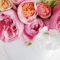 🌼🌸🌺CSW🌺🌸🌼 (@cswarketatora) 's Twitter Profile Photo 🌼🌸🌺CSW🌺🌸🌼 (@cswarketatora) 's Twitter Profile Photo