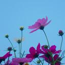 ruth ng - @ruth_N_ruth - Twitter