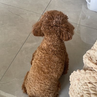 shengkun_yang's profile picture. what ever