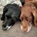 Sonya Barnett - @Son54323 - Twitter