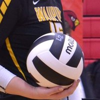 Waupun Volleyball (@waupunvb) Twitter profile photo