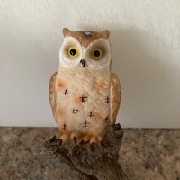 Hedwiggy(@Hedwiggy32) 's Twitter Profile Photo