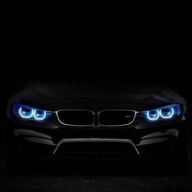 amir55391274's profile picture. Clever hunter