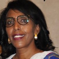 Demitu Hambisa (@hambisademitu) 's Twitter Profile Photo Demitu Hambisa (@hambisademitu) 's Twitter Profile Photo