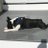 cg_boston_woke's avatar