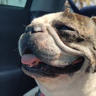 chardcharito's profile picture. LARS 138...