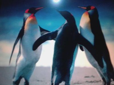 GatebeautifulO's profile picture. business development, loss adjustment, insurance fraud/forensic investigation, research, survey and insights development consultants