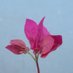 H Mallick (@hasmalik3) Twitter profile photo H Mallick (@hasmalik3) Twitter profile photo
