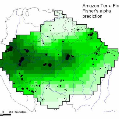 The Amazon Tree Diversity Network is a network of 200 botanists, ecologists and taxonomists that share data on tree diversity and distribution in the Amazon.