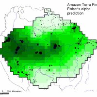 ATDN - Amazon Tree Diversity Network (@treeamazon) 's Twitter Profile