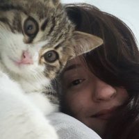 Nagihan Pakçılı (@pakcili) Twitter profile photo