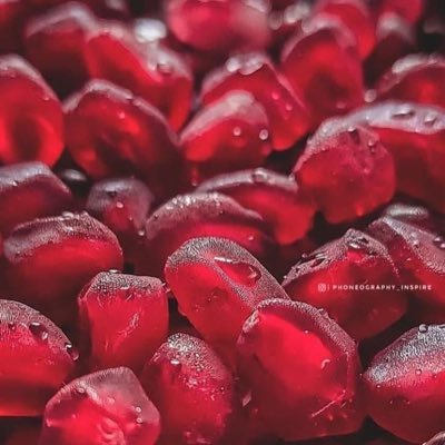 caplanadil1's profile picture. 