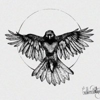 Crow Library (@babacrowagain) 's Twitter Profile Photo