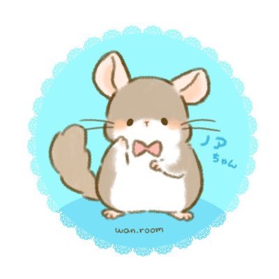 チンチラのノアちゃんと飼い主ありすです🐭