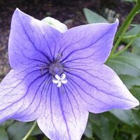 FrostyDesign (@frostydesign_jp) 's Twitter Profile