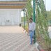 Sandeep Verma (@sandeep45271043) Twitter profile photo Sandeep Verma (@sandeep45271043) Twitter profile photo
