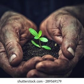 AbdulHakeemKp24's profile picture. My goal is to run out of pages in my passport.”🗺️
 പുലയൻ (മണ്ണിന്റെ മക്കൾ)
നീയും ഞാനും പുലയാനാണ്
മണ്ണിൽ നിന്നു തുടങ്ങി മണ്ണിൽ അവസാനിക്കുന്ന
എല്ലാവരും പുലയനാണ്