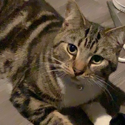 ljohnso_n's profile picture. 