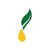 Young Living Essential Oils - Europe (@yleoeurope) Twitter profile photo Young Living Essential Oils - Europe (@yleoeurope) Twitter profile photo