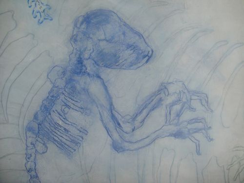 fabularasa_no's profile picture. Theatre company Norway. Vi produserer ny scenekunst med inspirasjon fra performance, film, billedkunst, konsert og teater.