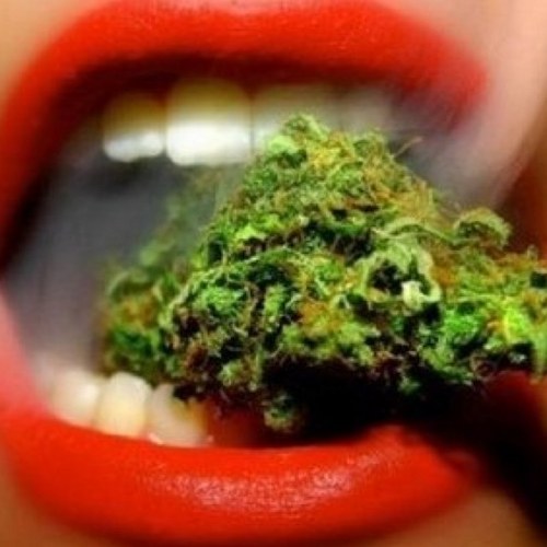 Nayte_O's profile picture. R̸e̸A̸L̸...