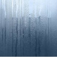 entra_e_sai's profile picture. 