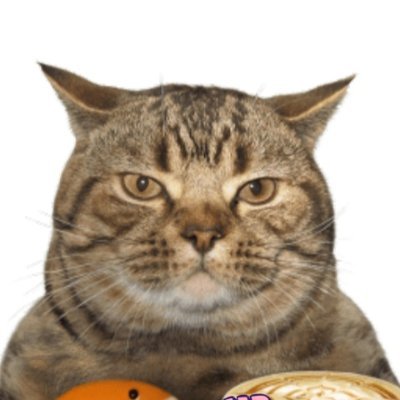 mav_2019x's profile picture. English teacher. খাঁটি বাঙালি. Against Hindi imposition. Tech nerd, foodie. Liberal. Anti-Fascist. Anti-Feminist.
I call a spade a spade.