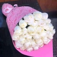 ناصر (@mbycfq4qtlqej6c) Twitter profile photo