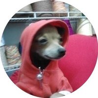 Arturo Soto Munguía (@chaposoto) 's Twitter Profile