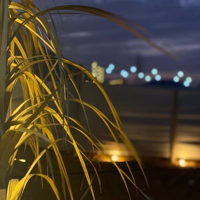 abo_mhamd66's profile picture. 