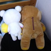 nanaco (@nanaco0128bye) 's Twitter Profile