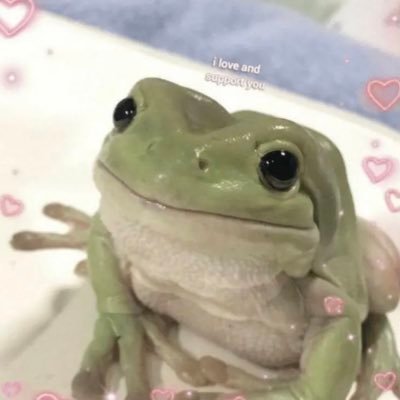 hey, I love frogs and the dream smp