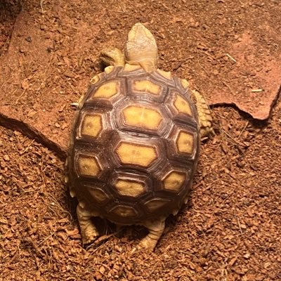 _rickypacheco's profile picture. Love is love! Deal with it! Instagram- @rickypacheco97