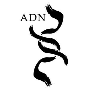ADNDAtweet's profile picture. ADN, the Digital Doubles Agency, creates Computer Graphics models of existing or dead prominent personalities for cinema, advertising and video games markets.