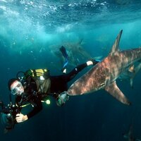 Fiona Ayerst (@faup123) 's Twitter Profile