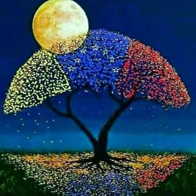 mricfe's profile picture. caraqueña