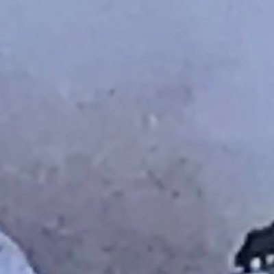 betterJunk's profile picture. 