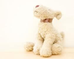 nickka1226's profile picture. Talk to the hand! :)