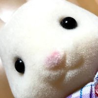 趣味アカ (@myfavorite11111) 's Twitter Profile Photo 趣味アカ (@myfavorite11111) 's Twitter Profile Photo