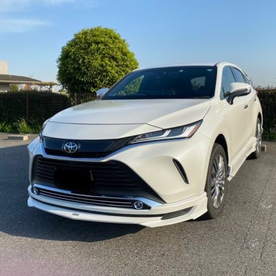 80ハリアーZ用 新品ハイマウント付ルーフスポイラープラチナホワイト