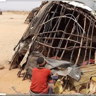 Woluo3's profile picture. Political Genius