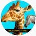 wild animal World (@stories_wild) Twitter profile photo